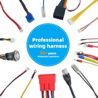 Kabel Harness Konektor SM Tembaga Berlapis Timah 2.5mm 2 3 4 5 Pin Male ke Female untuk Peralatan & Perangkat Industri