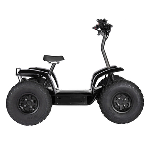 Véhicule tout-terrain <span class=keywords><strong>électrique</strong></span> <span class=keywords><strong>6000W</strong></span> 60V 50Ah pour adultes, idéal pour la chasse et la patrouille, scooter <span class=keywords><strong>électrique</strong></span> tout-terrain, buggy des dunes, <span class=keywords><strong>quad</strong></span> <span class=keywords><strong>électrique</strong></span>, VTT - Meilleures ventes - Product Image 4