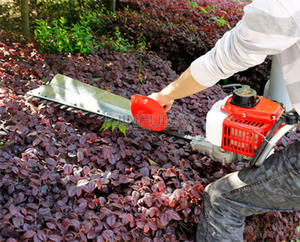 Professional Handheld <b>Garden</b> <b>Tool</b> 22.5cc 1e32f Single Cylinder Gasoline Hedge Trimmer - Product Image 3