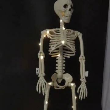 Avec 2 chaîne d'éclairage 40CM crâne squelette (sac OP unique)