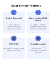 Batterie solaire au lithium-ion New Energy Powerwall 10 kW, BMS intelligent, 48 V 200 Ah, 6000 cycles de vie, batterie LiFePO4, stock européen