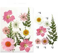 Gedroogde geperste bloemenset hortensia roos gypsophila gemengde bloemen geperste bloemen voor hars oorbel hanger DIY gedroogde bloemen knutselwerk