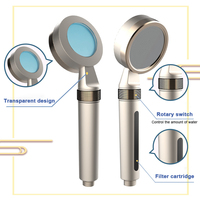 Pommeau de Douche Portable Professionnel Moderne Économe en Eau avec Filtre, Accessoire de Robinet Ionique à Vitamine C pour Salle de Bain