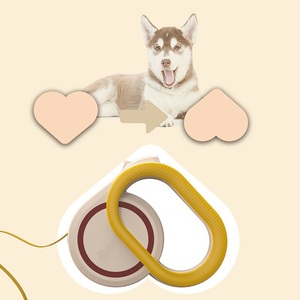 Hot Selling 5M Automatische Intrekbare Kat En Hond Lood Solide Patroon Buiten Wandelen Touw Riem Huisdier Benodigdheden - Product Image 3