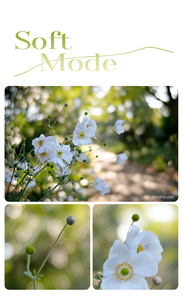 Objectif cinéma à focale fixe à grande ouverture TTArtisan 50 mm T2.1 plein format, double bokeh, filtre 82 mm pour /Minolta - Product Image 5