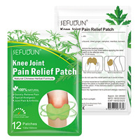 12 Patchs Chauffants Naturels à l'Armoise pour Soulager les Douleurs Articulaires du Genou, Soutien Herbal de Qualité Médicale, Certifiés NDC CE