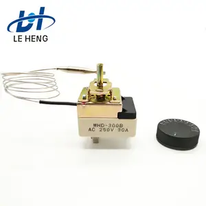 Interruptor mecânico de controle de temperatura, forno de explosão de alta potência WHD-300B