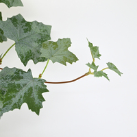 Rangkaian Daun Maple Buatan 1.7m, Daun Plastik Garland, Tanaman Daun Ivy Evergreen untuk Dekorasi Dinding (Grosir)