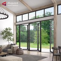 Porte intérieure en verre et métal pliante aux normes européennes avec cadre en acier rétractable Porte en fonte de fer Cloison de séparation pour balcon