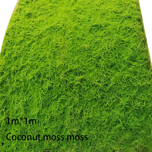 Meilleures ventes de plantes artificielles aménagement paysager bonsaï gazon artificiel flocage mousse plantes vertes pour la décoration environnementale - Product Image 3