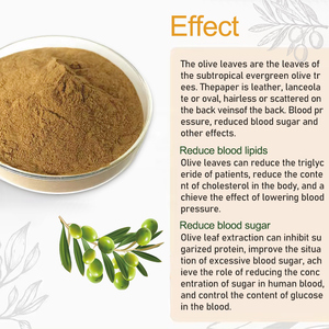 Ekstrak Daun/Buah Zaitun Bubuk Bahan Baku Grosir Massal Polifenol 10% <span class=keywords><strong>20</strong></span>% dengan UV - Product Image 3