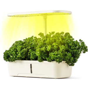 <span class=keywords><strong>Mini</strong></span> serre de culture de légumes d'intérieur à 12 trous avec système d'irrigation électronique intelligent et système hydroponique Design moderne - Product Image 3