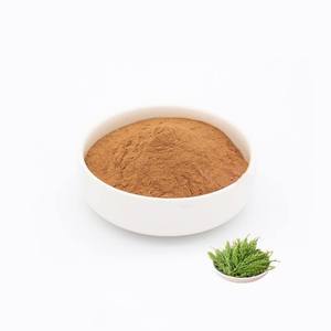 Organik ürün QYHerb fabrika kaynağı üstün kalite saf organik sıcak satış en Equisetum Arvense özü/atkuyruğu özü toptan fiyat - Product Image 3