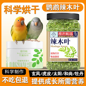 Moringa Leaf Parrot Treats Bulk Calcium Supplement For <b>Budgies</b> Cockatiels Sun Conures Monkeys Eco Friendly Bird <b>Food</b> - Product Image 4