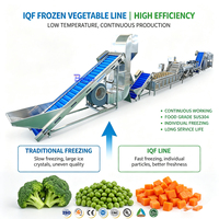 Automatische fruit- en groenteverwerkingslijn, mixer, friteuse, vriesbloemenwasser, blancherings- en IQF-vriesysteem, voedselveilige roestvrijstalen uitvoering
