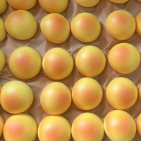 Offre Spéciale – Jouet Squishy en PU en forme de petit pain au fromage, doux et moelleux, à récupération lente, anti-stress pour jeunes