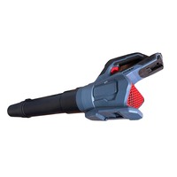 Souffleur de feuilles électrique portatif haute puissance Rechargeable 21V Batterie au lithium Sèche-cheveux industriel et souffleur de jardin