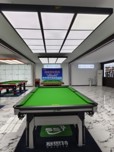 Chuyên Nghiệp Rắn Gỗ 8 Chân Snooker Bảng Tiêu Chuẩn Thế Giới Kích Thước Với Giá Giảm Giá Bảng Trò Chơi Bảng Để Bán - Product Image 3