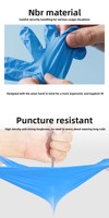 Gants en nitrile pur épaissis à usage unique, résistants à l'huile, imperméables, résistants aux acides et aux alcalis, certifiés fabricant