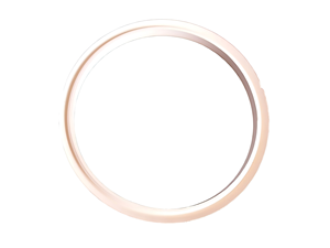 Custom <strong>Silicone</strong> Rubber Gaskets O <strong>Rings</strong> and Seals for Industrial Equipment and Sealing Applications - Product Image 6