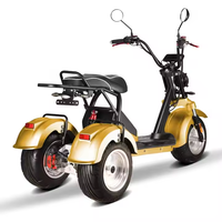 Tricycle électrique Loyal à 3 roues, scooter à double moteur 4000W, GPS, pliable, étanche, batterie au lithium 20AH, 50 km/h