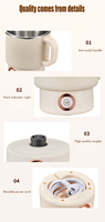 Factory Direct Mini bouilloire électrique Pot électrique 800ml