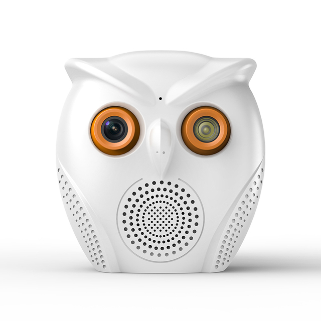2MP Wireless Security Wifi Camera Indoor Human Shape Detection Smart Speaker AI Camera