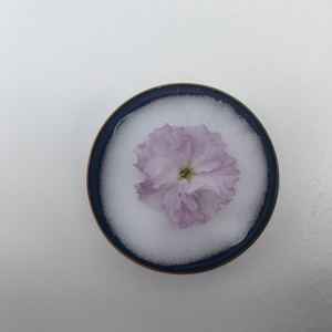 Materiali dentali <span class=keywords><strong>PMMA</strong></span> poli metilmetacrilato CAS NO 9011 per prodotti cosmetici intermedi - Product Image 4