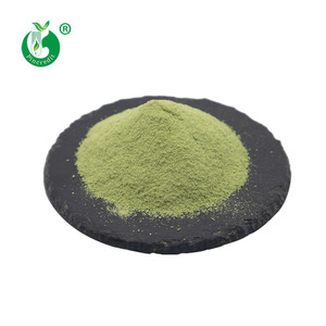 Compre Té Verde <span class=keywords><strong>Matcha</strong></span> Latte en <span class=keywords><strong>Polvo</strong></span> Certificado a Precio de Mayoreo - Product Image 2