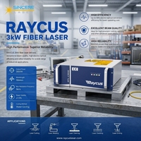 Source laser à fibre Steedu nouvelle génération haute puissance, qualité industrielle CE, 3 kW, longueur d'onde 1080 nm, garantie 2 ans, prix compétitif