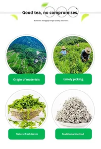 ชาเขียวหลงเอ่อวี่เจียคุณภาพสูงขายส่งจำนวนมากเพื่อสุขภาพ - Product Image 3