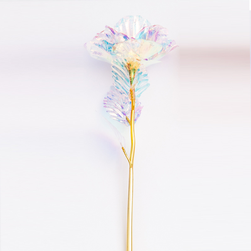 ดอกไม้สีทองหลากสีสัน [Colorful]