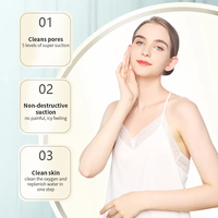 Appareil de microdermabrasion portable pour salon de beauté, traitement de l'acné, élimination des points noirs, jet d'oxygène, hydradermabrasion, usage commercial