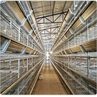 Cage à poulets empilée de type H, équipement d'élevage avicole entièrement automatique avec système d'alimentation, de collecte des œufs et d'évacuation du fumier