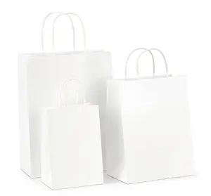 에코 재사용 하드 초대형 패스트 푸드 포장 테이크 아웃 애플 사용자 정의 로고 트위스트 핸들 크래프트 종이 가방
