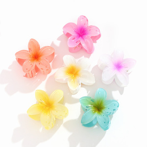 Nantong Flower Hair <b>Clips</b> Gradient Color Plastic Resin Casual Updo Accessories - Product Image 5