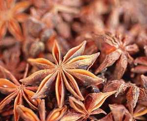 Nhà Máy Giá Điều Trị Chất Lượng Tự Nhiên Dầu Hồi Sao Hồi - Product Image 3