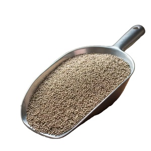 Mijo Verde/Bajra, Alimento para Animales de la Mejor Calidad de la India, Disponible para Exportación - Product Image 2