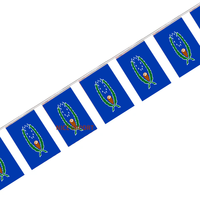Guirlande de mini-drapeaux du Panama pour la décoration de fêtes scolaires, salles de classe et événements sportifs