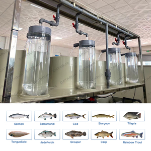 Dia 120mm rõ ràng cá chép cỏ cá da trơn trứng cá lồng ấp thiết bị MC Jar lồng ấp chi phí thấp ấp trứng cá cho nuôi trồng thủy sản - Product Image 3