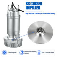 Pompe submersible mini Q(D)X-SA 304 SS basse pression OEM 10 bars, sortie filetée, eau propre, impeller fermé