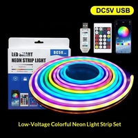 Bande LED flexible et colorée, étanche, contrôlée par application intelligente, effet de lumière néon, synchronisation musicale, éclairage IP67