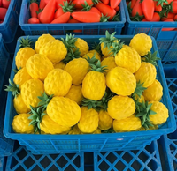 Jouet sensoriel en forme d'ananas à presser pour la vente en gros, jouet anti-stress en forme de fruit, ananas et fraise à presser