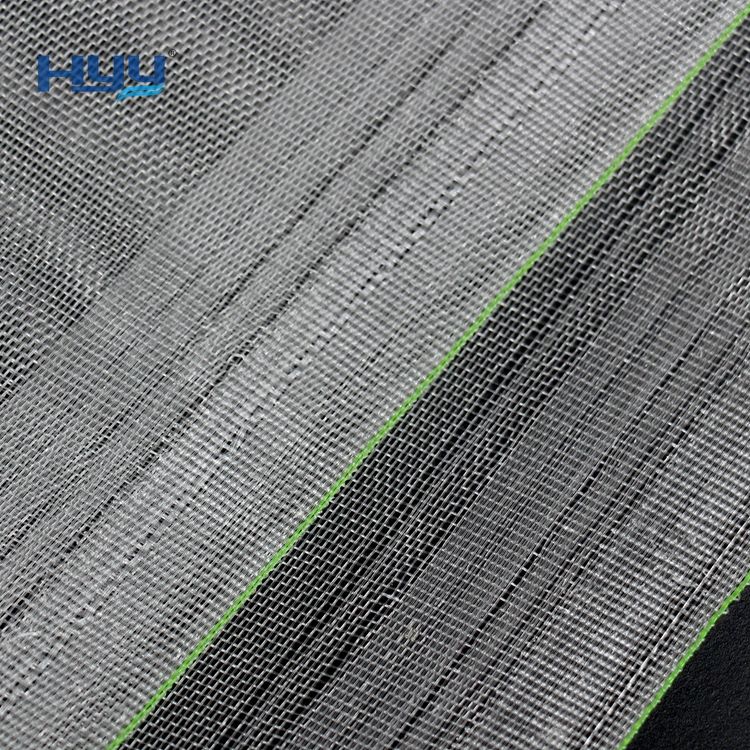 โปร่งใสด้วยเส้นสีเขียว