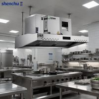 Hotte de cuisine professionnelle anti-brume d'huile, type de purification électrostatique économique
