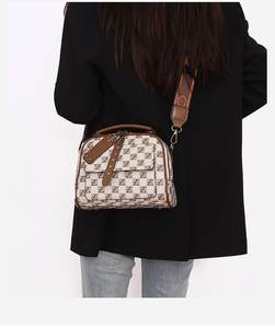 À la mode Français Niche Grande Capacité Bureau Sacs Pour Femmes De Luxe Sac À Main Dames Nouvelle Épaule Bandoulière Léger Maman Sac - Product Image 3