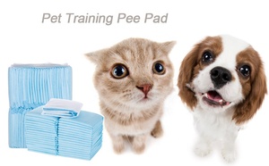 Vente en gros Coussinets de dressage pour chiens 60*90 pour chiots Tampons de PEE super absorbants anti-fuite absorbant l'urine et sous-serviettes jetables pour bébés - Product Image 2