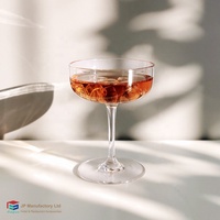 Verre à gin moderne en plastique transparent de 190 ml, gobelet à cocktail en cristal SAN pour sidecar, pour bar et club