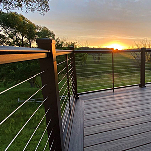 High Quality Vertical Exterior <strong>Iron</strong> <strong>Railing</strong> <strong>Rod</strong> Balustrades Fence with Modern Design Cable <strong>Railing</strong> - Product Image 5