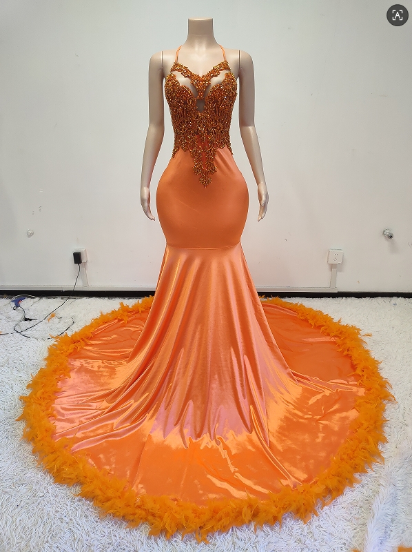 TH24060504 - orange
